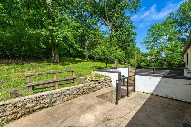 a view of a park with large trees