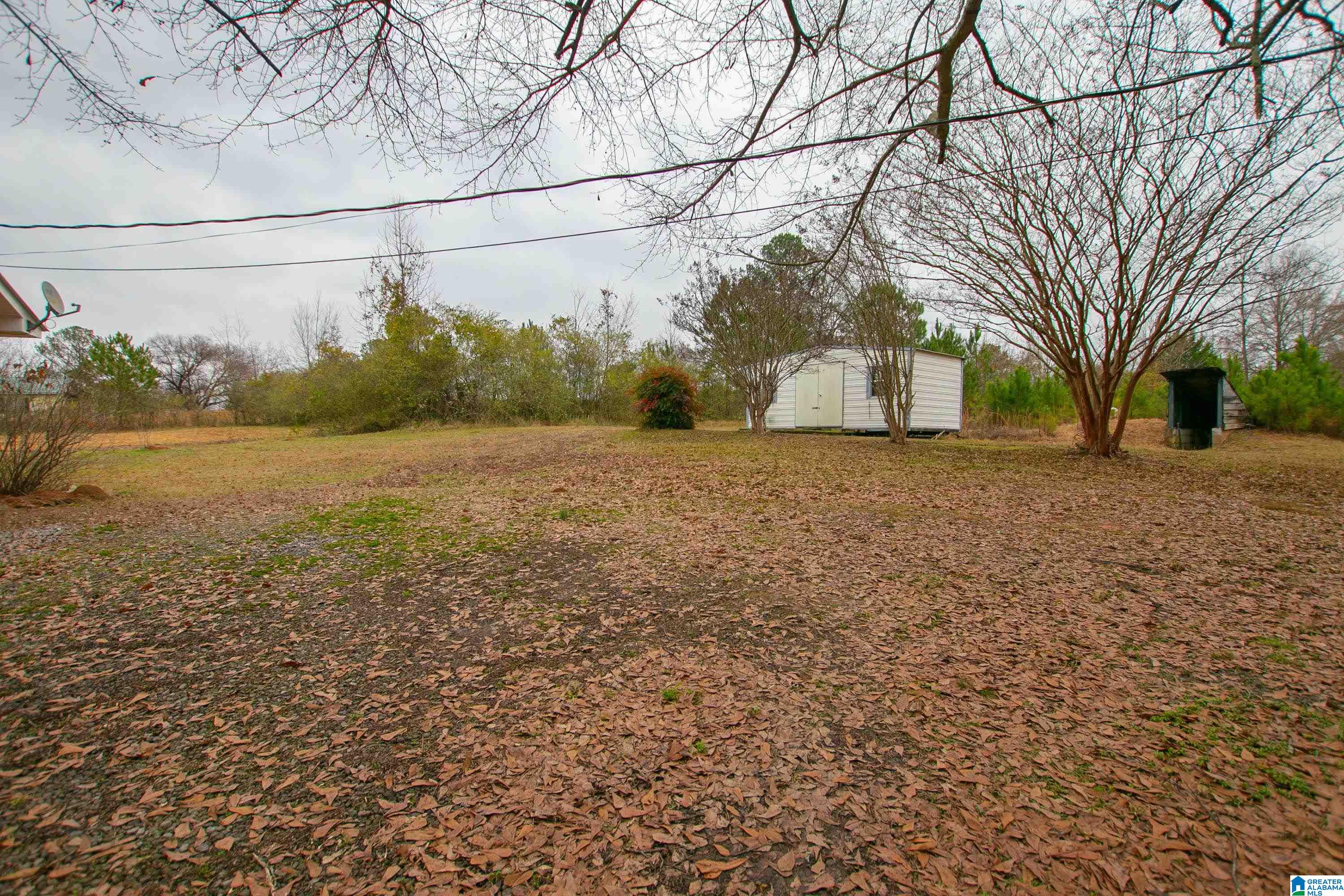 5252 Spunky Hollow Road Remlap, AL 35133 - Photo 43 of 58