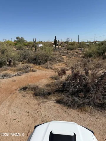 a view of a dry yard