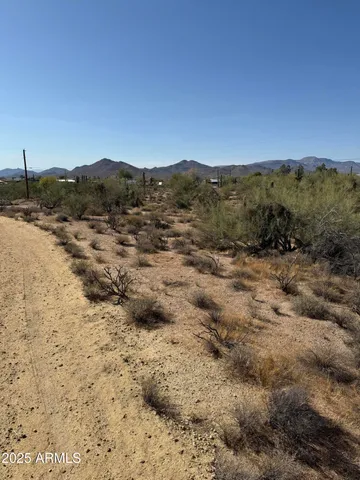 a view of a dry yard with mountains in the background