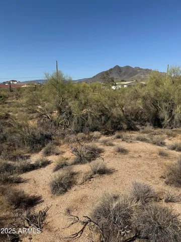 a view of a dry yard with mountains in the background