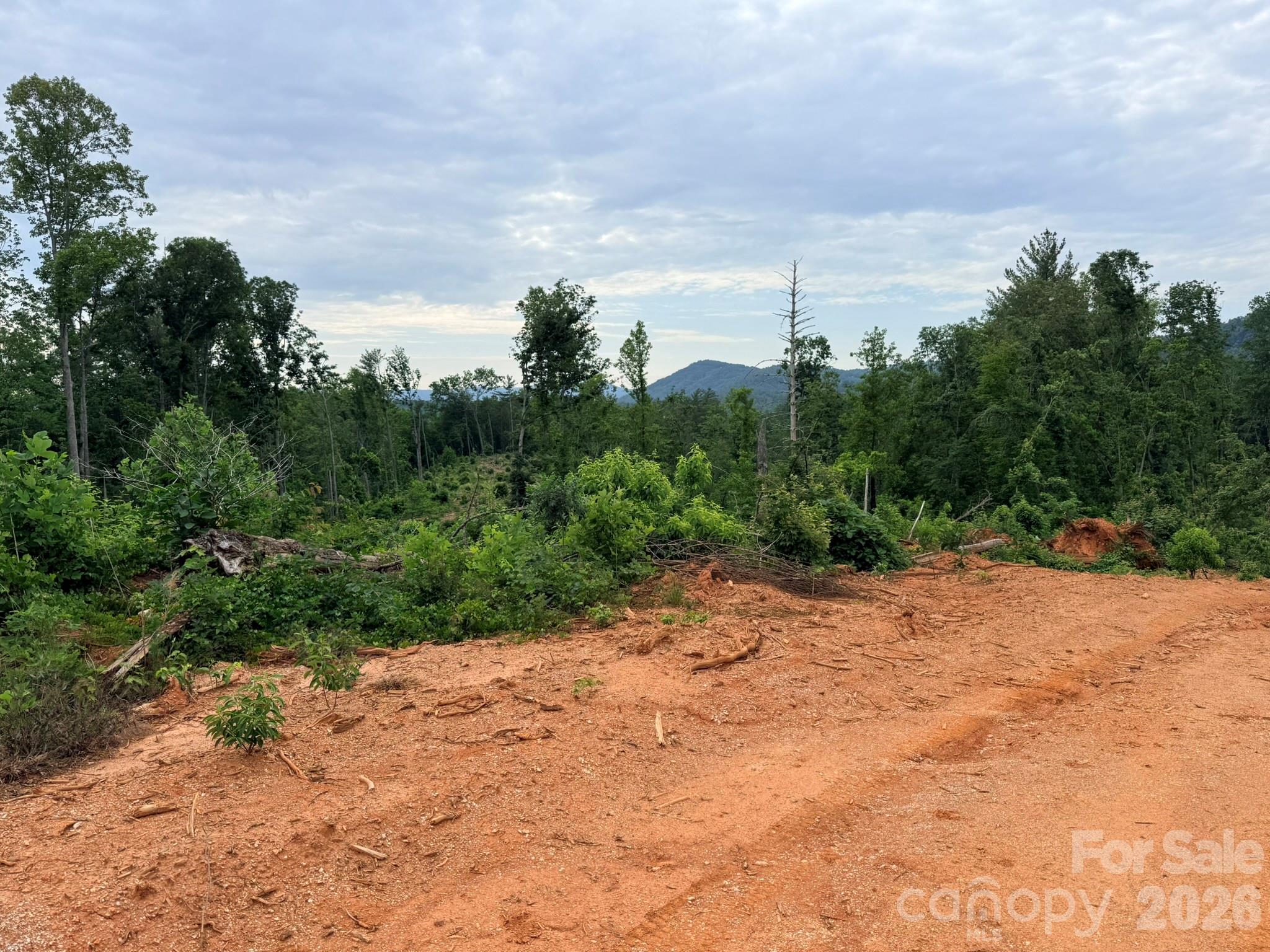 Tbd North Marley Ford Road Ferguson, NC 28624 - Photo 18 of 26