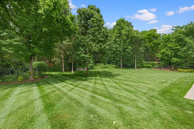 a view of a park with a tree in the background