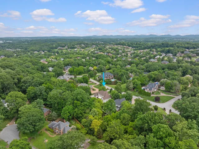 a view of a city with lush green forest