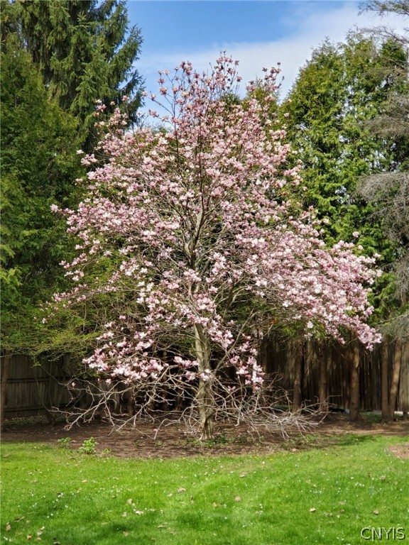 9 Lee Road Dryden, NY 13053 - Photo 24 of 26