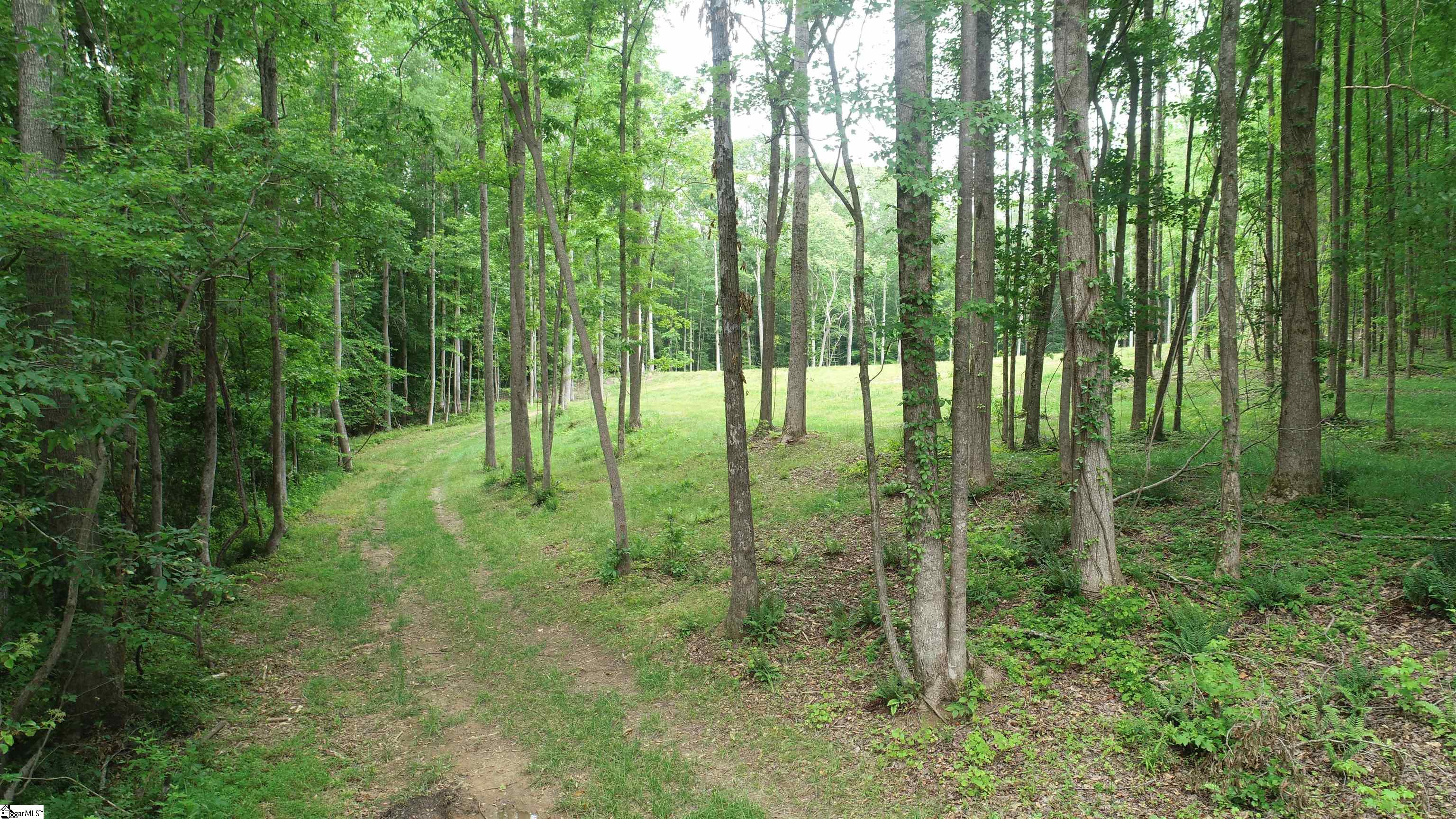 109 Watson Road Fountain Inn, SC 29644 - Photo 15 of 20