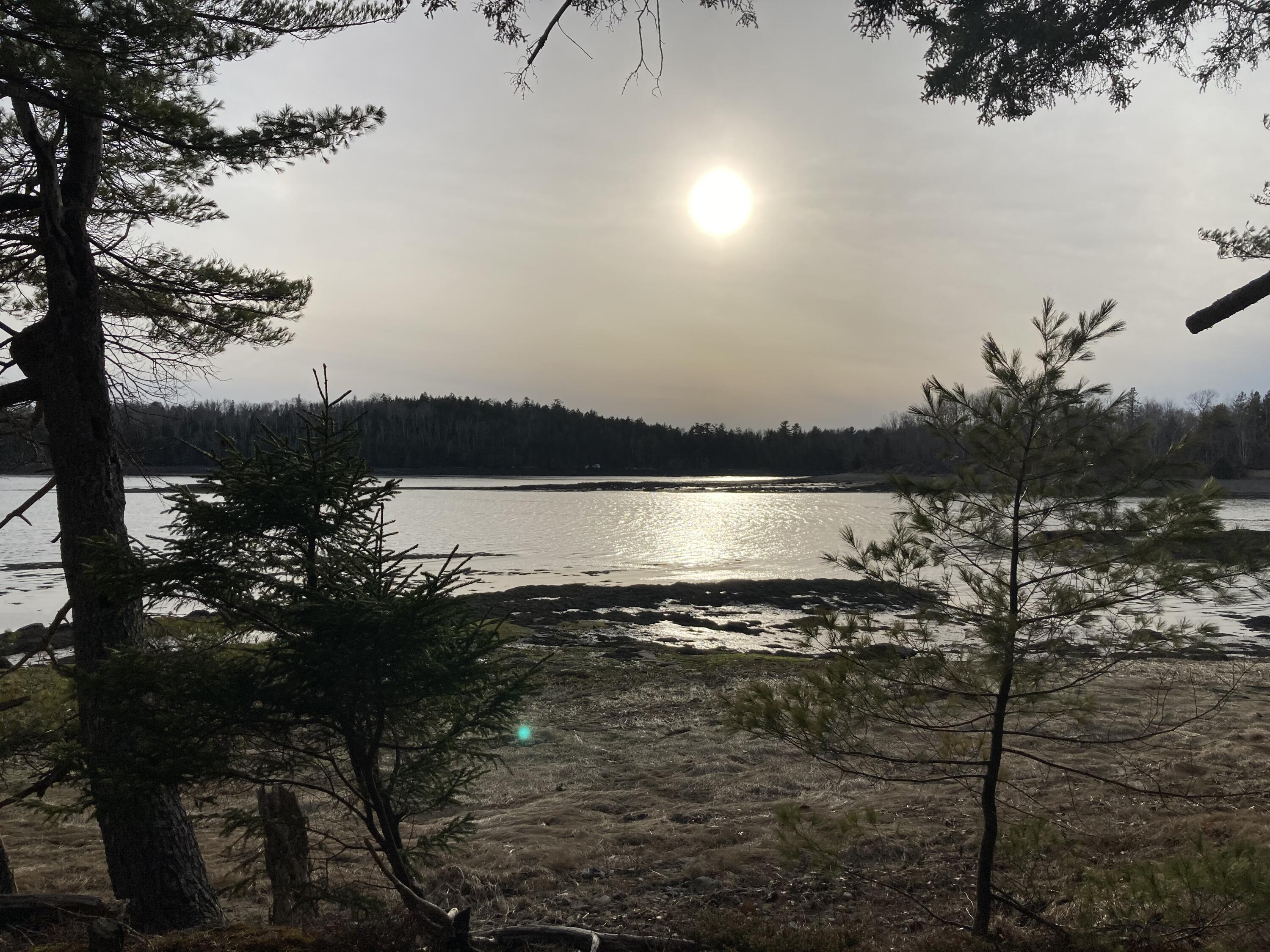 203 Garnet Head Road Pembroke, ME 04666 - Photo 2 of 92 IMG_6957