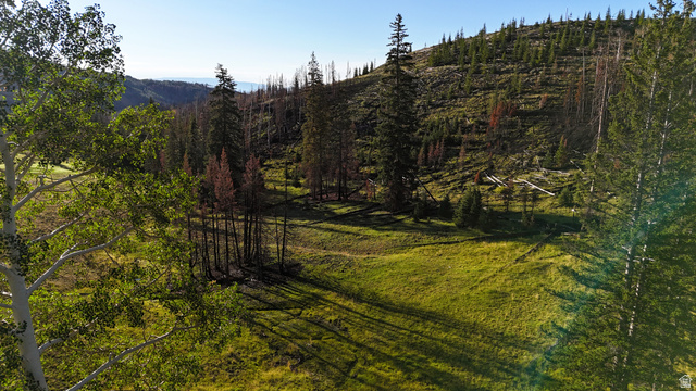 123 Tbd Monroe Canyon Road Monroe, UT 84754 - Photo 57 of 92 Expansive natural landscape featuring a sloping hillside, abundant evergreen trees, a clear sky, and varied terrain with areas of green foliage