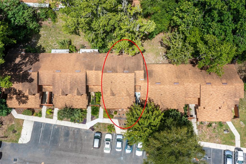 920 Southwest 55th Terrace Gainesville, FL 32607 - Photo 3 of 45