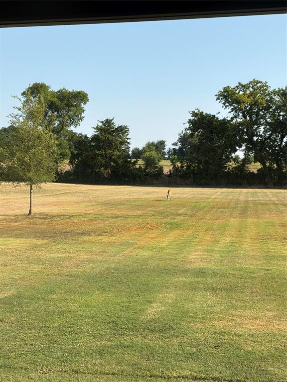 208 Chicken Field Road Whitewright, TX 75491 - Photo 40 of 40 Expansive lawn with natural landscaping