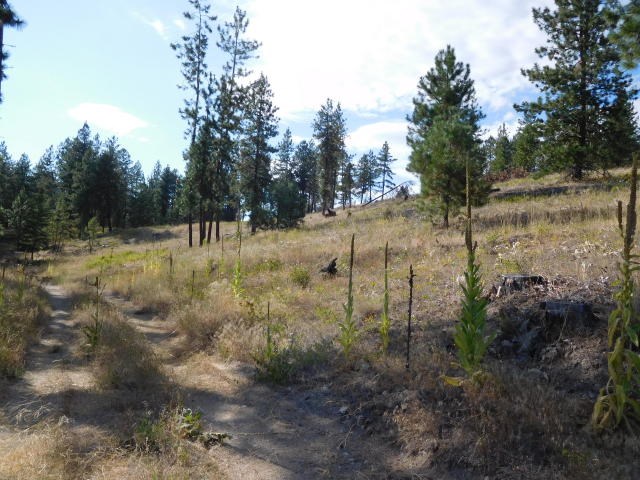 531 Hotchkiss Road Colville, WA 99114 - Photo 1 of 4 Gallery Image 1