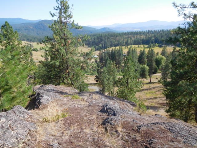 531 Hotchkiss Road Colville, WA 99114 - Photo 2 of 4 Gallery Image 2