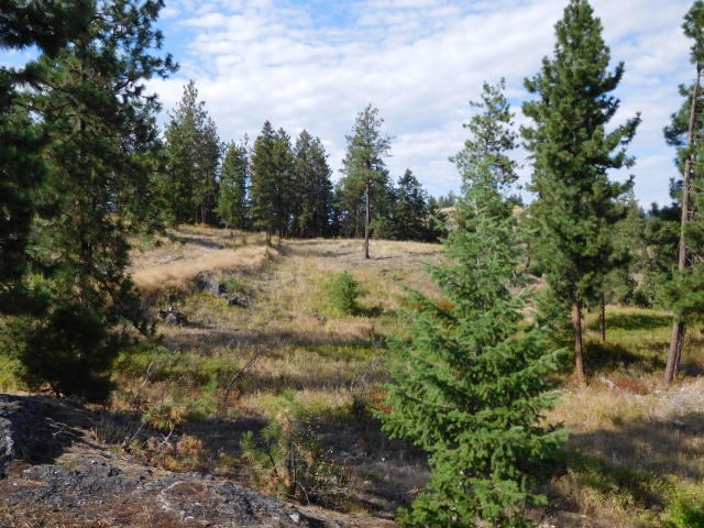 531 Hotchkiss Road Colville, WA 99114 - Photo 3 of 4 Gallery Image 3