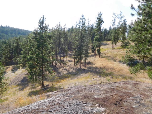 531 Hotchkiss Road Colville, WA 99114 - Photo 4 of 4 Gallery Image 4