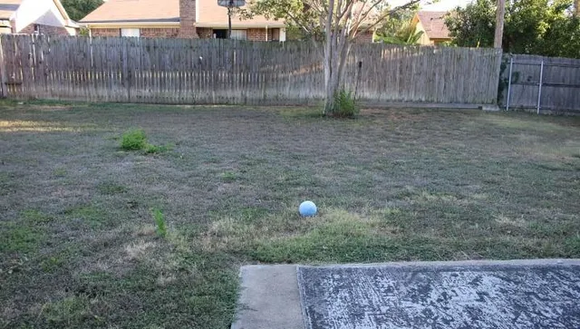 a view of a backyard