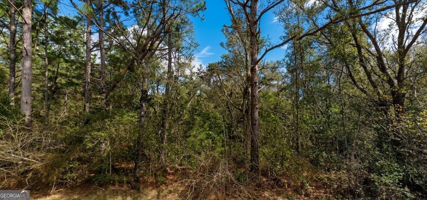 0 Pollard Road, Unit LOT A Daphne, AL 36526 - Photo 3 of 8 Gallery Image 3