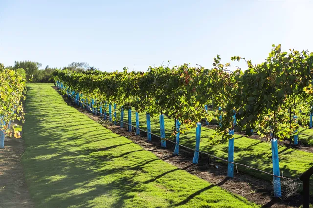 $389,028 | 14607 Cedar Elm Court, Willis, TX 77318