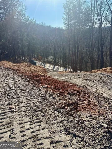 a view of a backyard of a house with a large tree