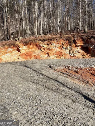 a view of a backyard of the house