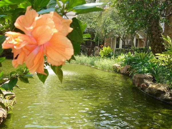 a view of a lake view