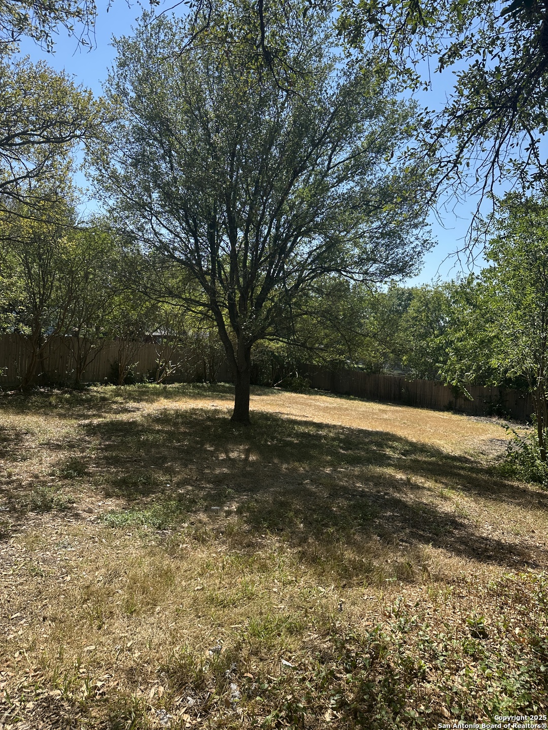 14627 Highland Ridge San Antonio, TX 78233 - Photo 22 of 25 a view of yard with green space