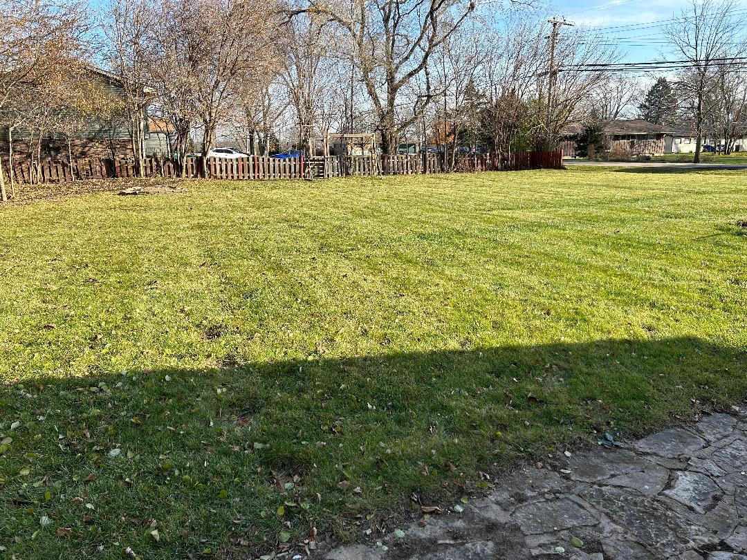 369 North Independence Boulevard Romeoville, IL 60446 - Photo 36 of 36 a view of yard with green space