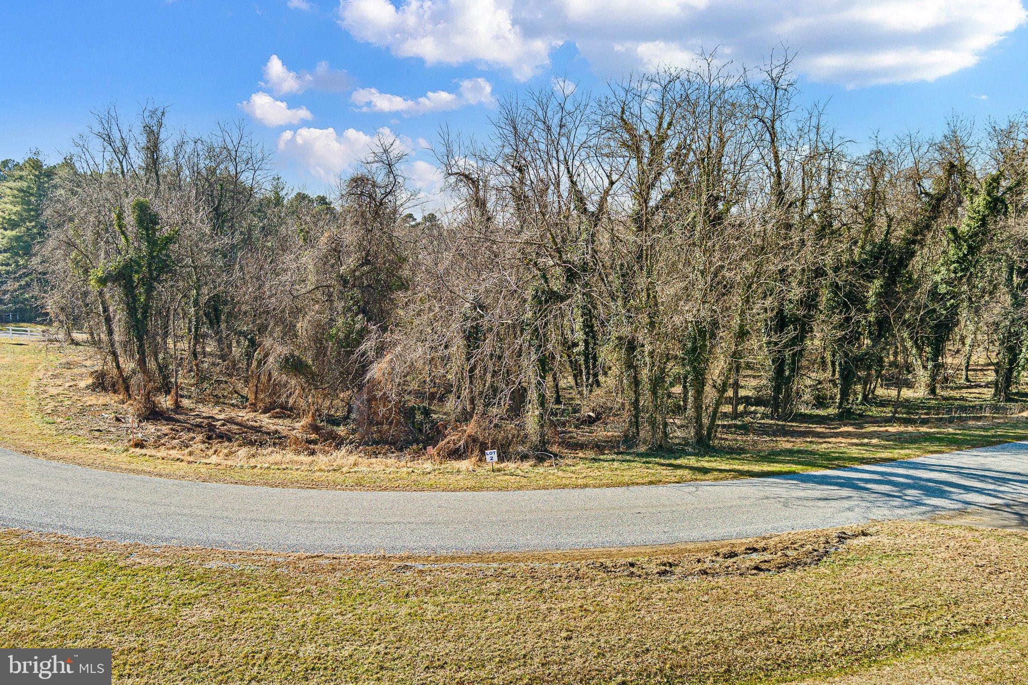 2 Sassafras Cove Road Galena, MD 21635 - Photo 14 of 16 a view of yard with large trees