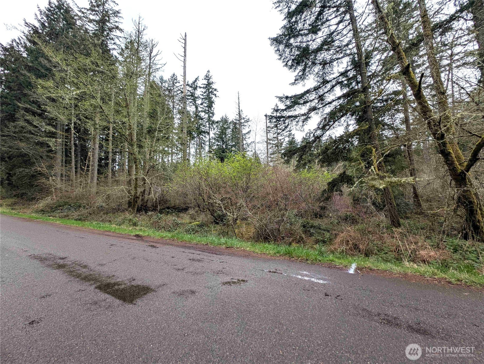 10618 Tahoma Drive Anderson Island, WA 98303 - Photo 1 of 5