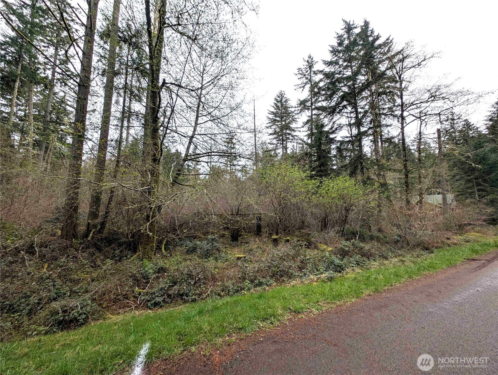 10618 Tahoma Drive Anderson Island, WA 98303 - Photo 4 of 5