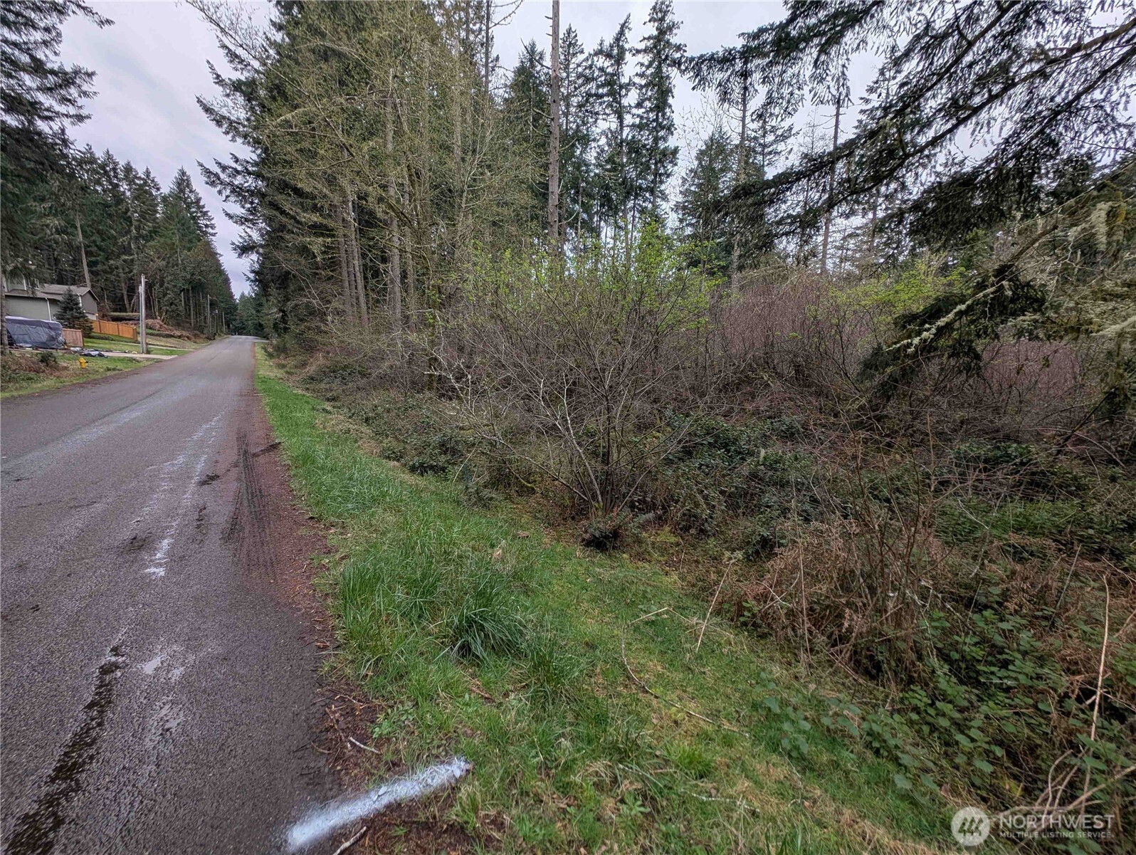 10618 Tahoma Drive Anderson Island, WA 98303 - Photo 5 of 5