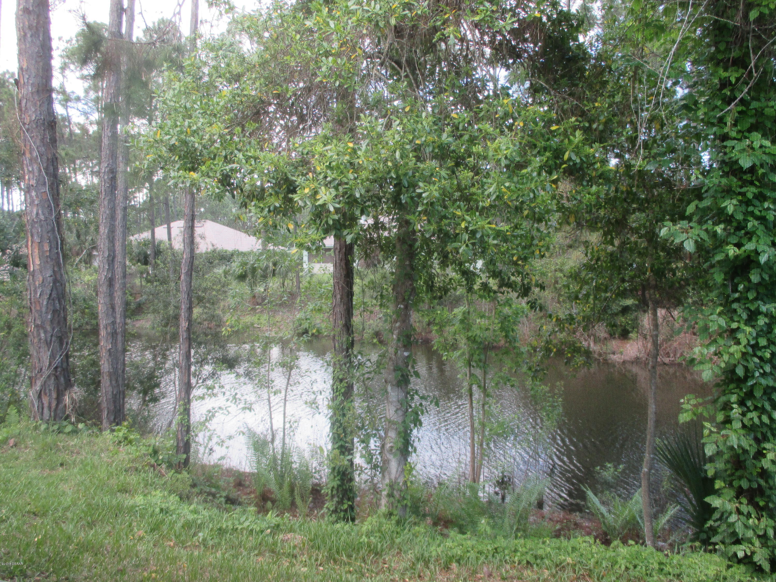 82 Raintree Circle Palm Coast, FL 32164 - Photo 16 of 16 View.JPG