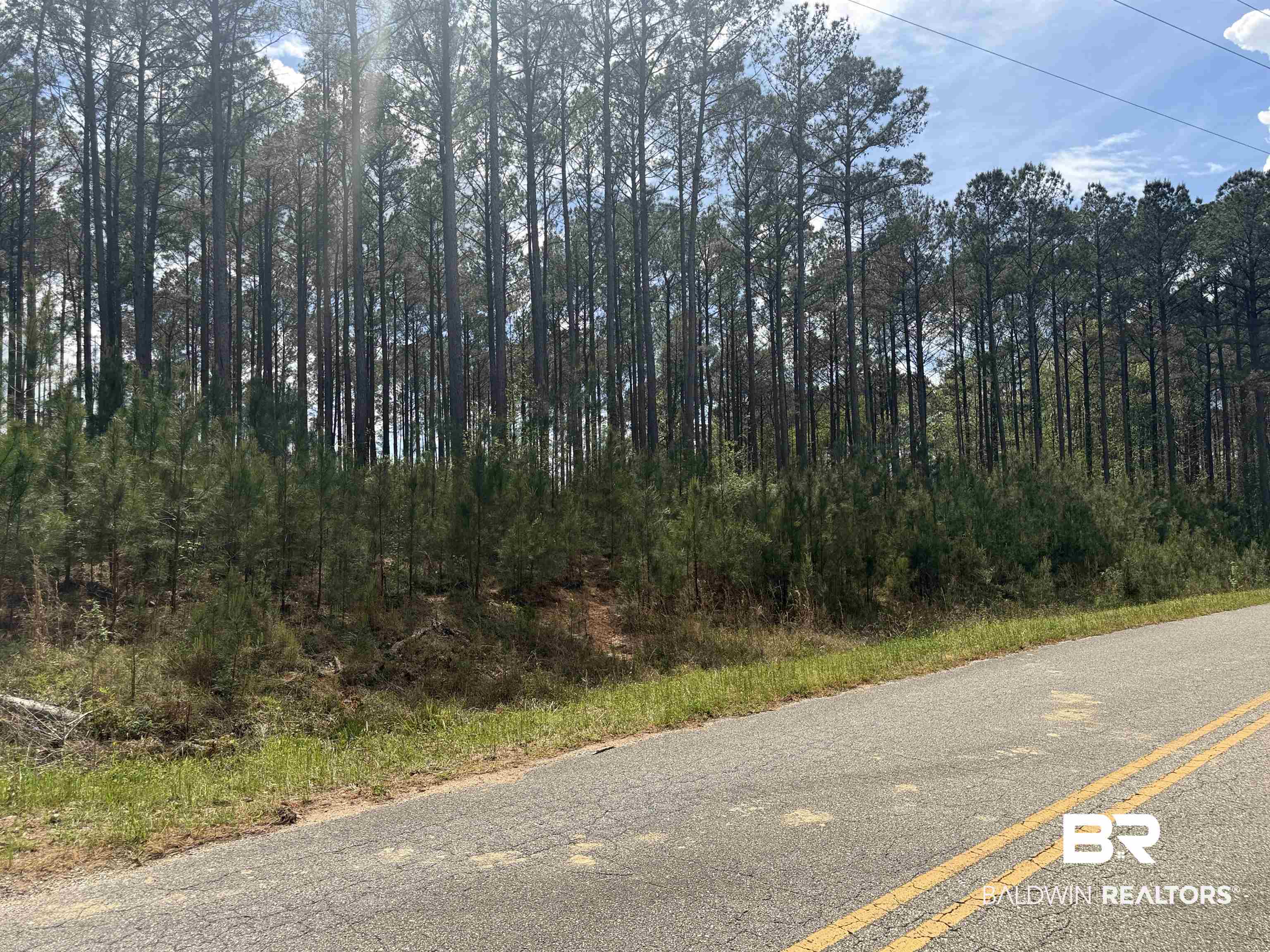 Tbd Old Drive In Road Grove Hill, AL 36451 - Photo 4 of 9 View of asphalt street
