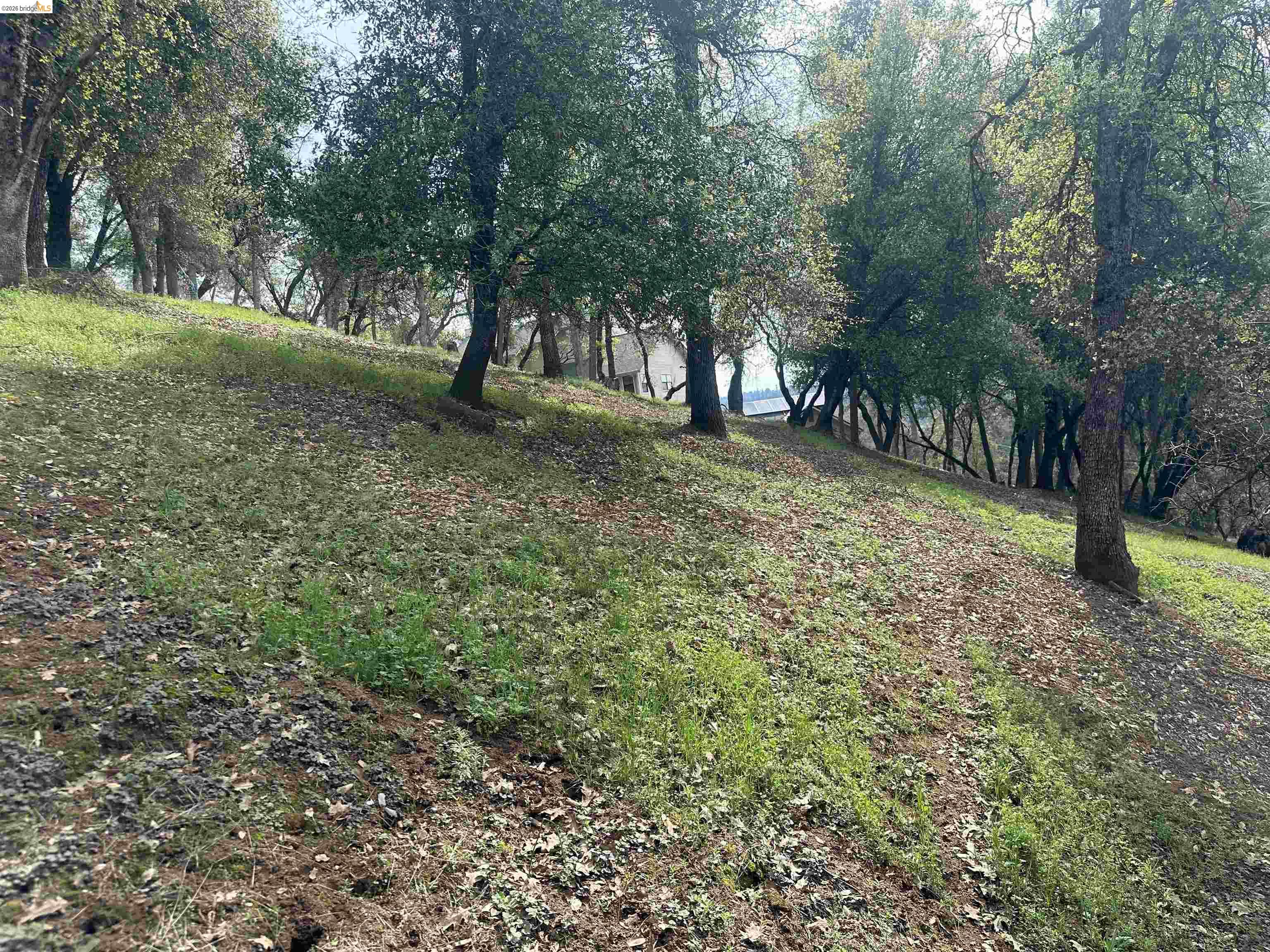 3-154 Boitano Road Groveland, CA 95321 - Photo 2 of 9 a view of outdoor space with trees