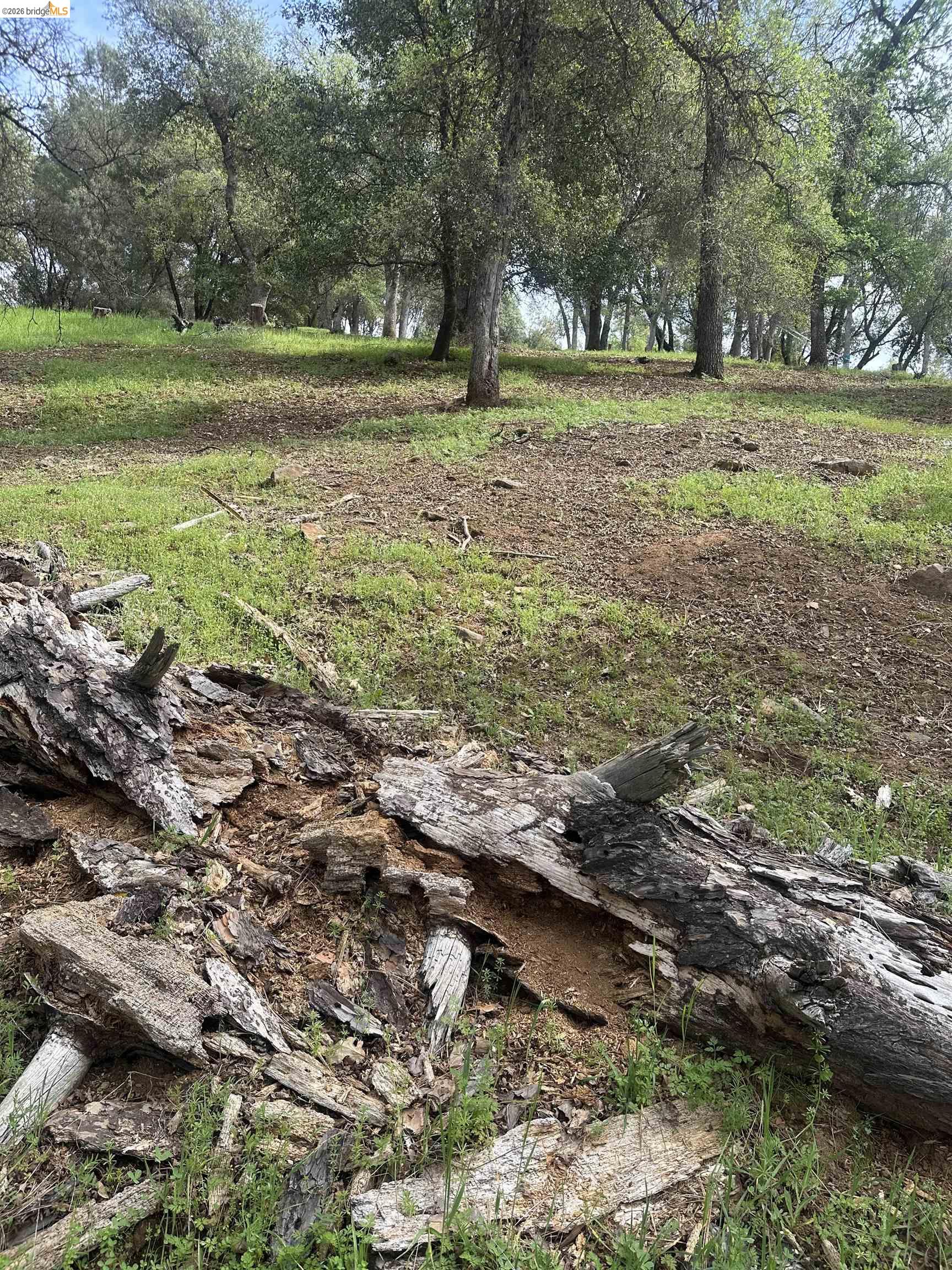 3-154 Boitano Road Groveland, CA 95321 - Photo 3 of 9 a view of outdoor space with deck and green space