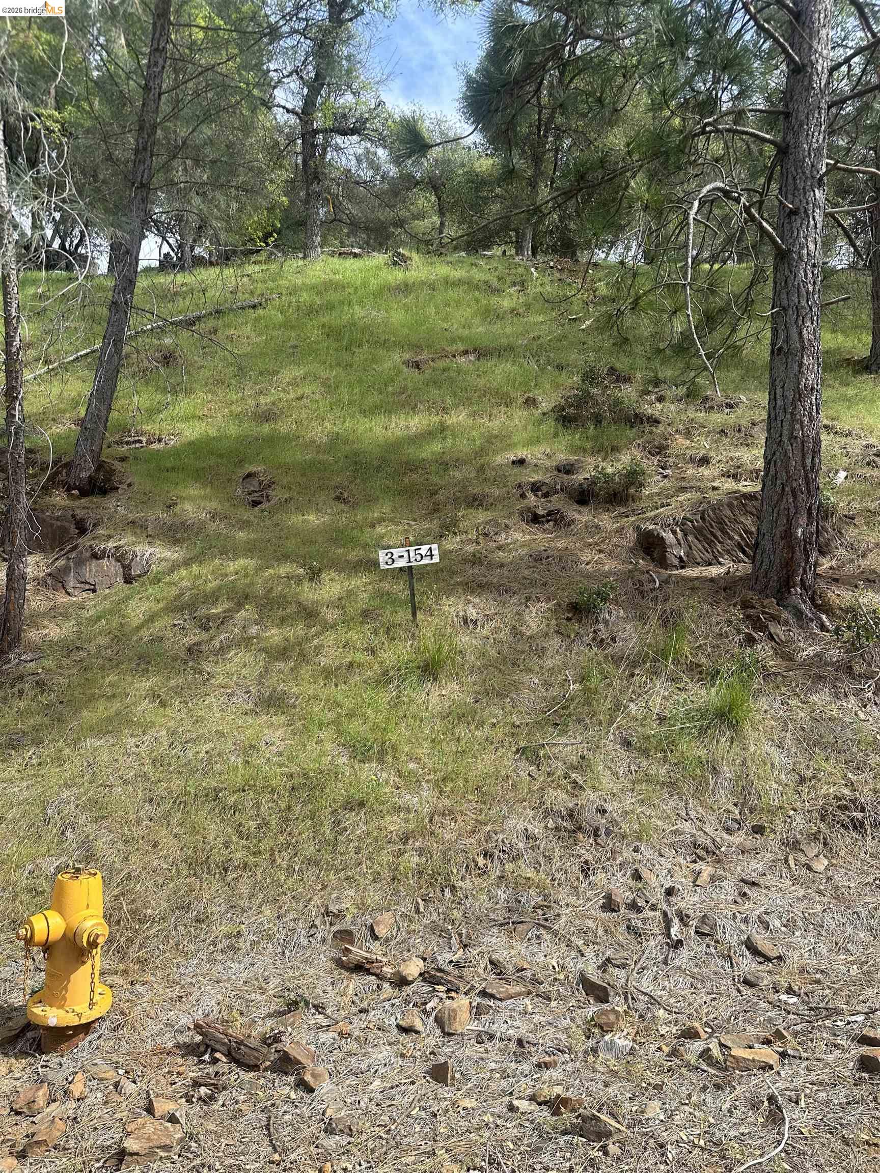 3-154 Boitano Road Groveland, CA 95321 - Photo 4 of 9 a backyard of a house with a yard and large trees