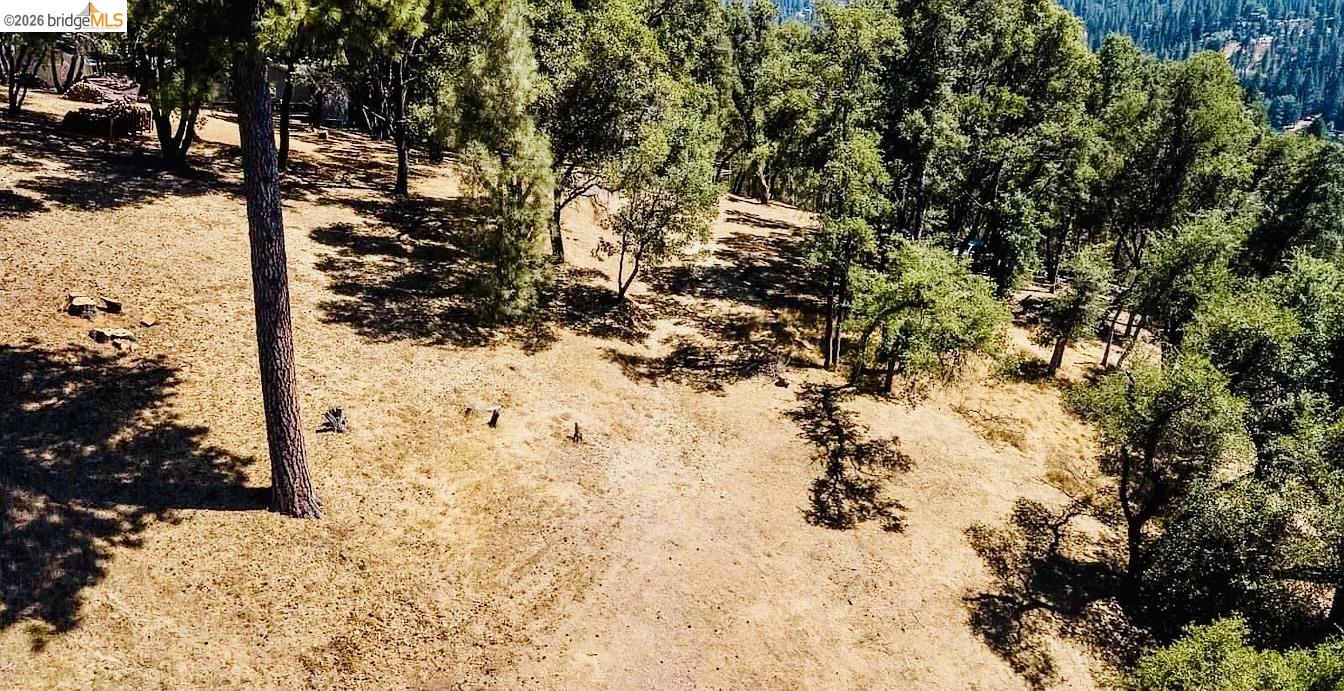 3-154 Boitano Road Groveland, CA 95321 - Photo 6 of 9 a view of a yard covered in snow