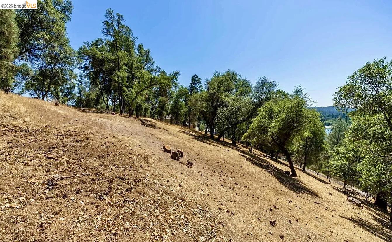 3-154 Boitano Road Groveland, CA 95321 - Photo 7 of 9 a view of a backyard of the house