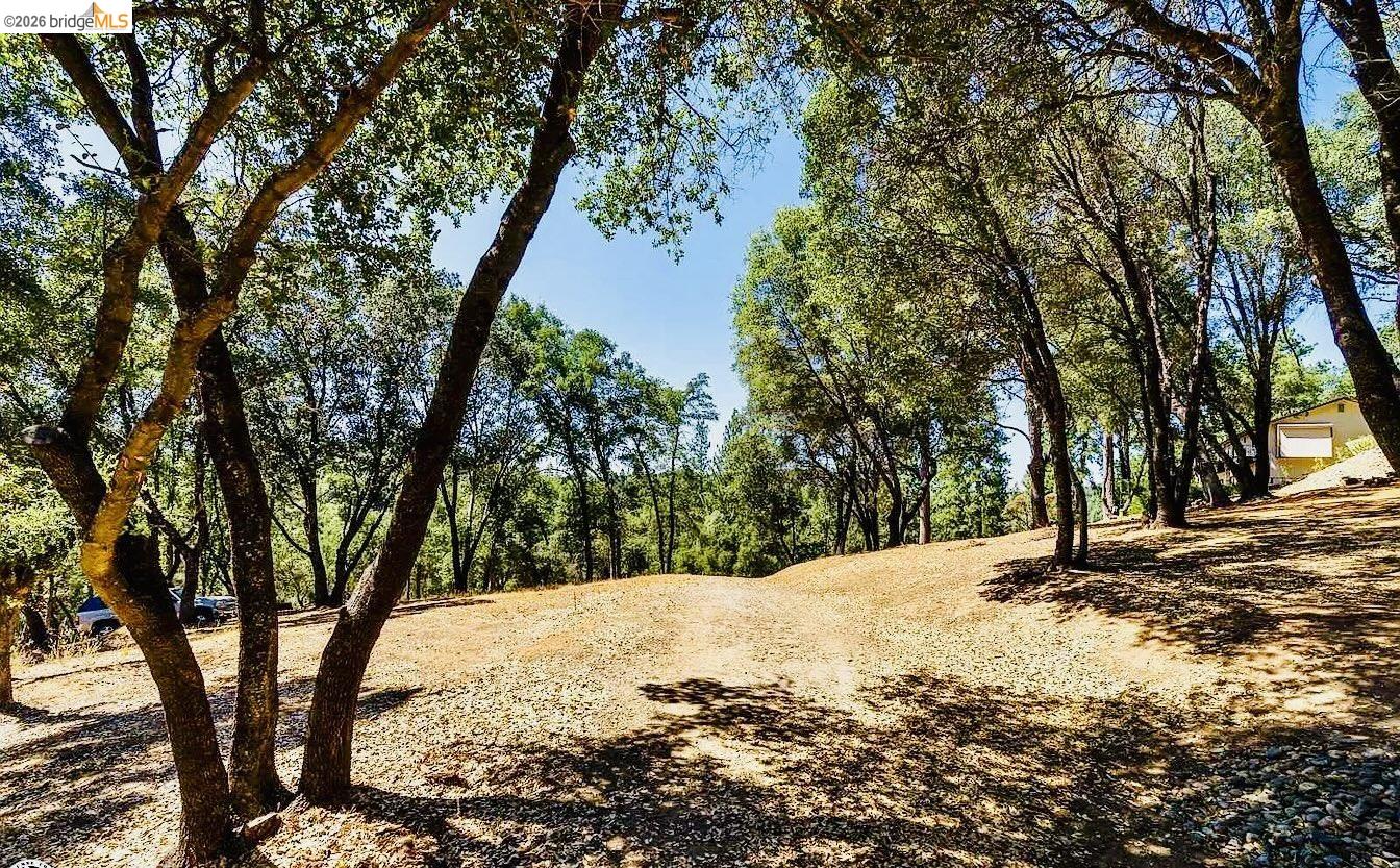 3-154 Boitano Road Groveland, CA 95321 - Photo 8 of 9 a view of tree