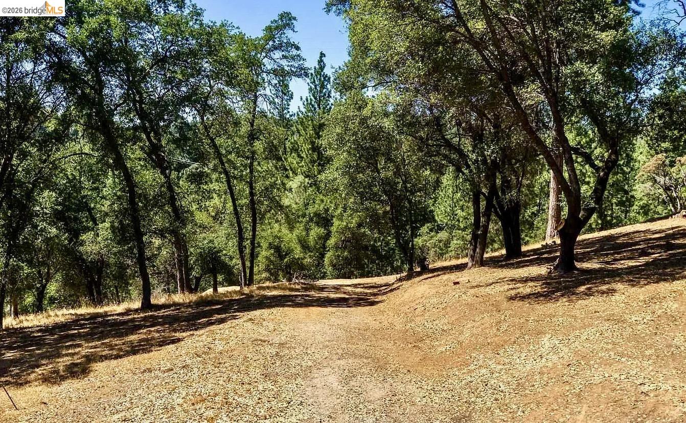 3-154 Boitano Road Groveland, CA 95321 - Photo 9 of 9 a view of a yard with trees