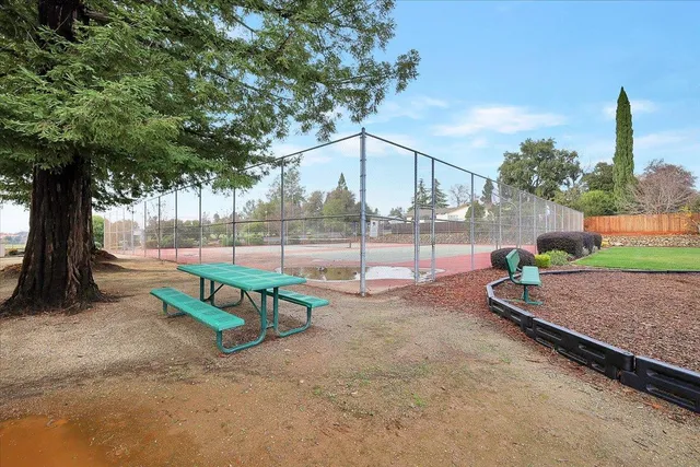 an outdoor sitting area with couch and trees