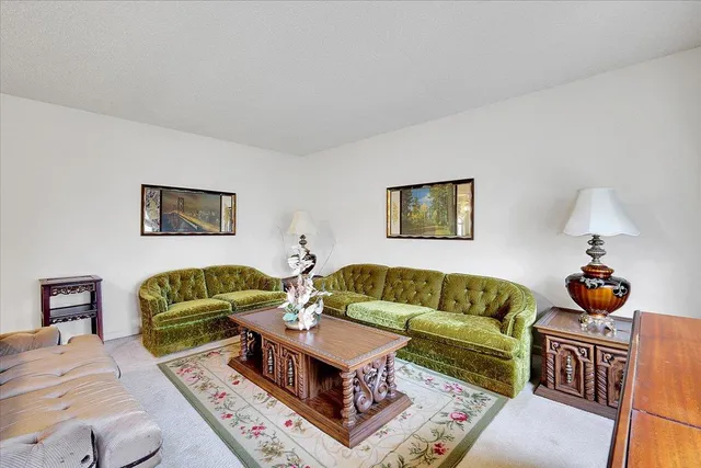 a living room with furniture rug and window