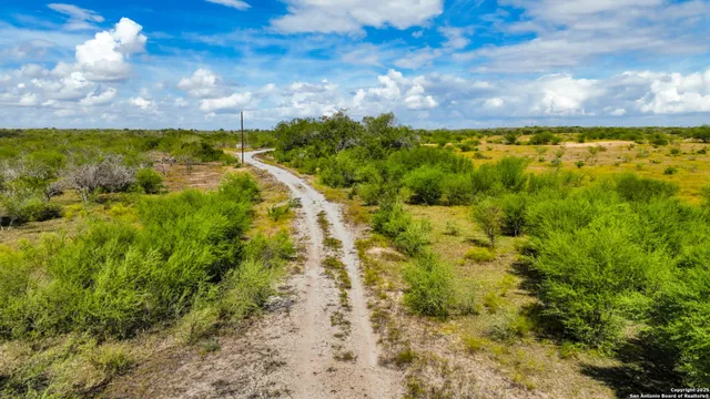 a view of a yard with swimming pool