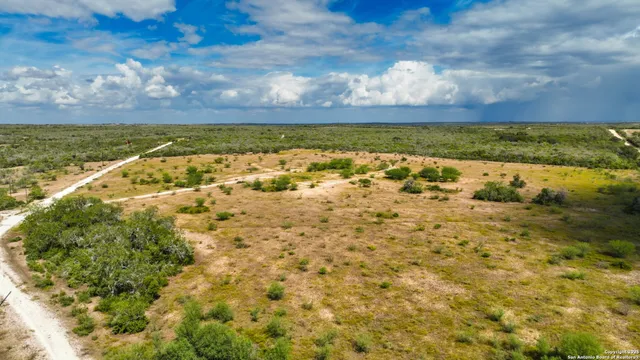 a view of a yard and lots of trees