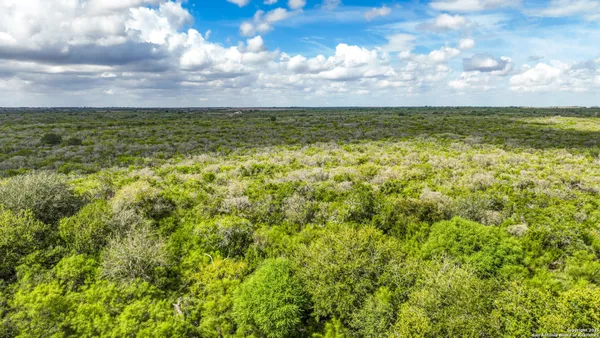 $1,480,000 | 12937 Farm To Market Road 743, Kenedy, TX 78119