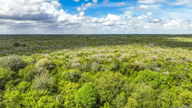 a view of yard and mountain