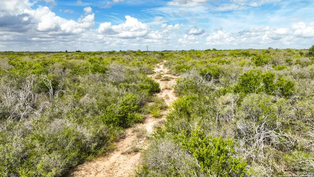 a view of a yard with an outdoor space