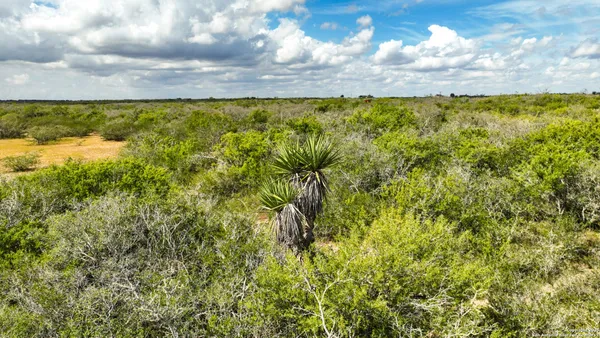 $1,480,000 | 12937 Farm To Market Road 743, Kenedy, TX 78119