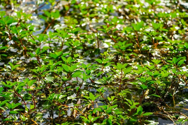 a backyard of a house