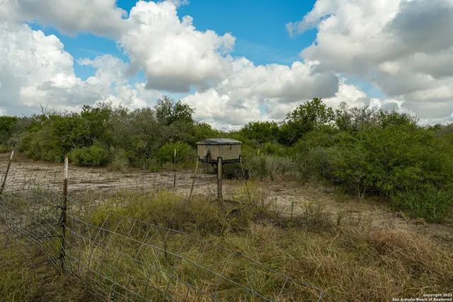 a view of a bunch of trees and bushes