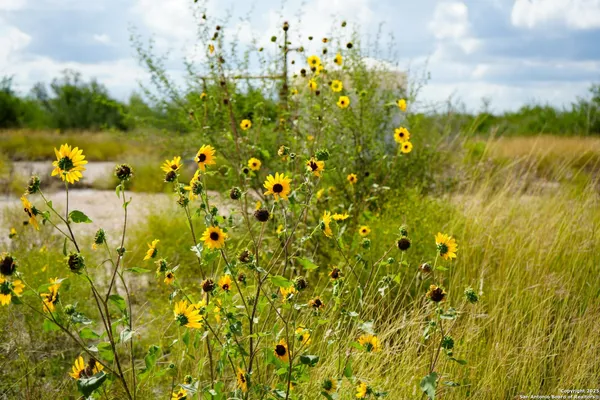 $1,480,000 | 12937 Farm To Market Road 743, Kenedy, TX 78119